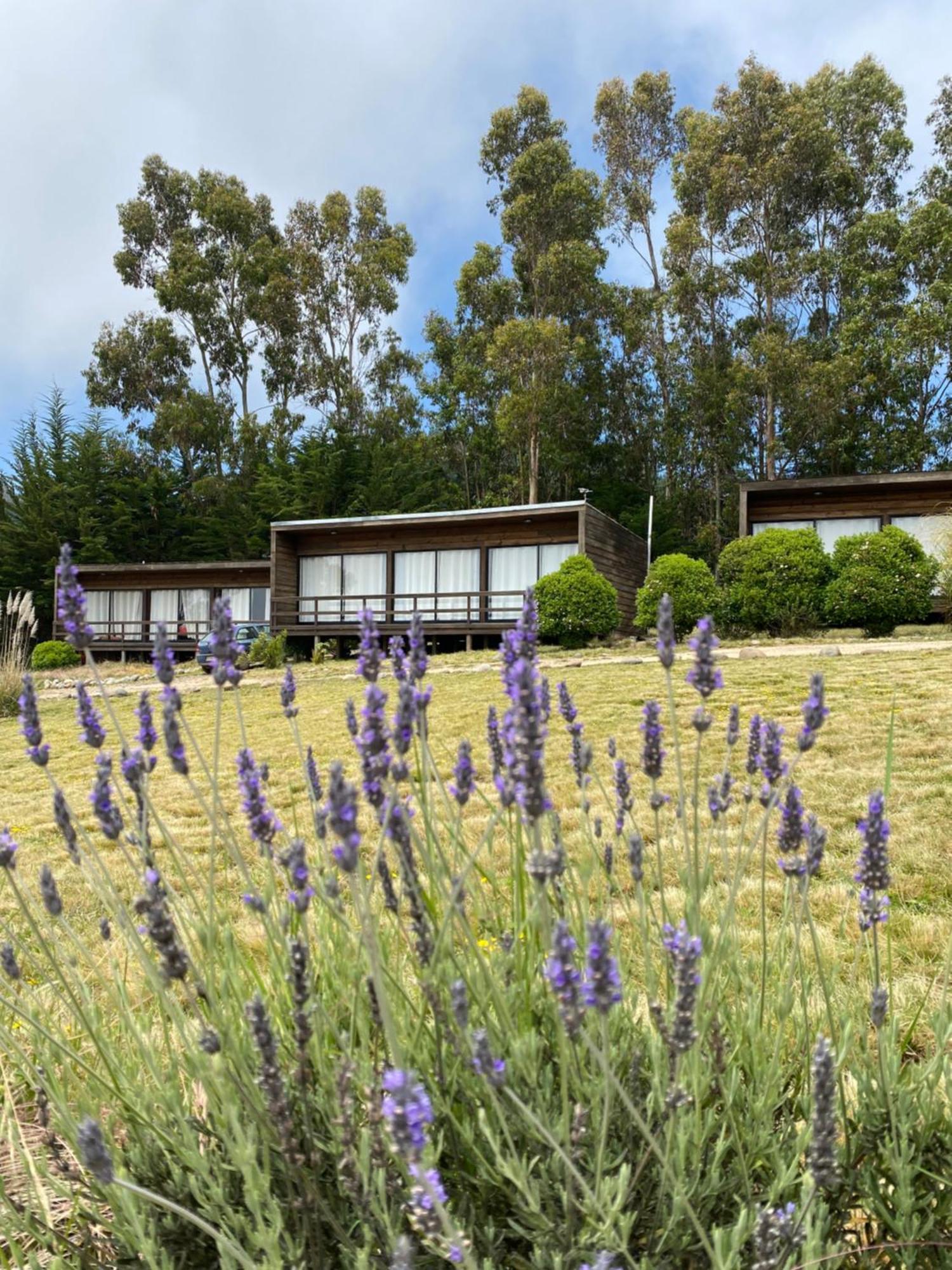 Cabanas Lovel-Van Curanipe Exterior foto